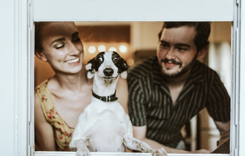 collection-bedding — Maison Woof